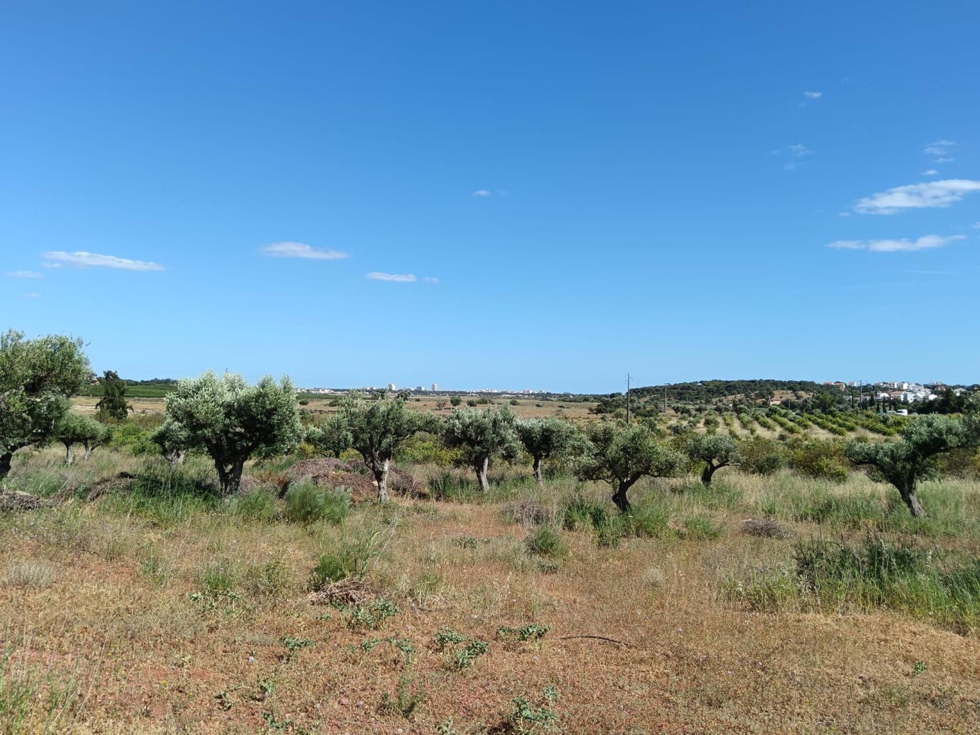 Quinta Da Fornalha - Santuario Agroecologico Villa Castro Marim Bagian luar foto