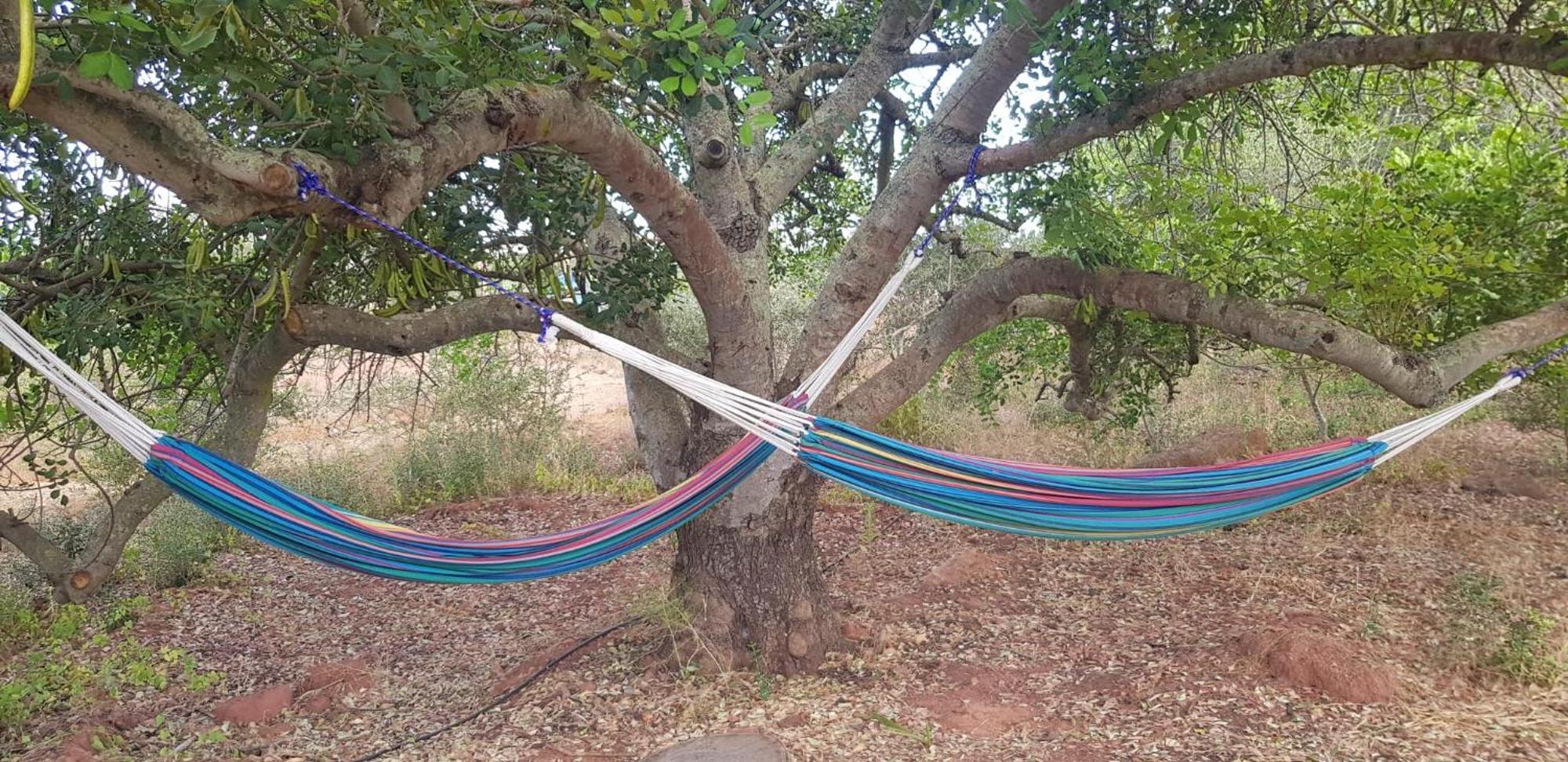 Quinta Da Fornalha - Santuario Agroecologico Villa Castro Marim Bagian luar foto